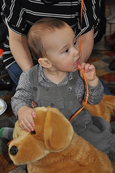 Tyler's First Birthday 05.jpg